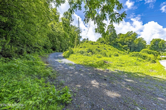 TBD Blue Mill Rd, Del Rio, TN 37727