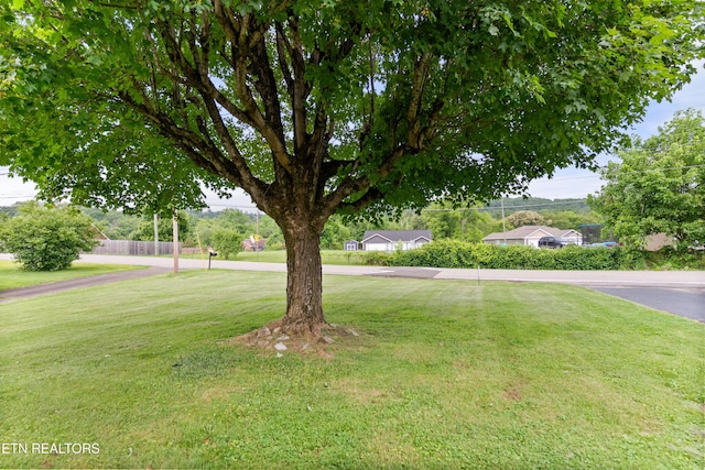 6112 Magazine Rd, Knoxville, TN 37920 - photo 45