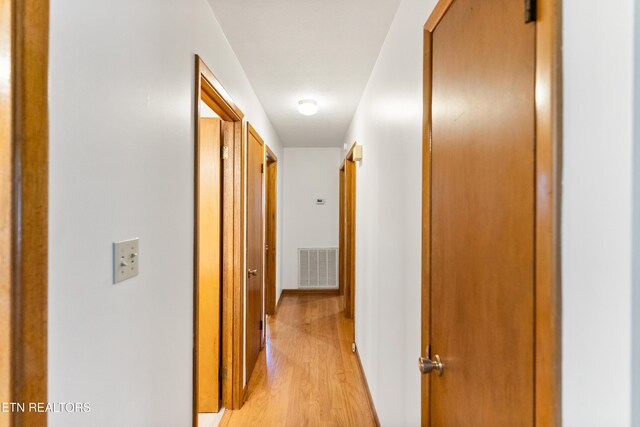 6112 Magazine Rd, Knoxville, TN 37920 - photo 11