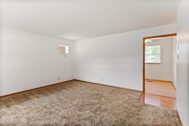 6112 Magazine Rd, Knoxville, TN 37920 - photo 25