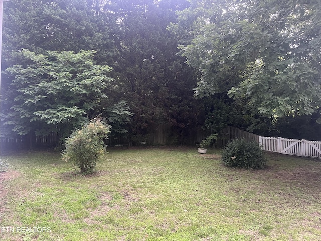 400 Furnace Ave, Rockwood, TN 37854 - photo 6