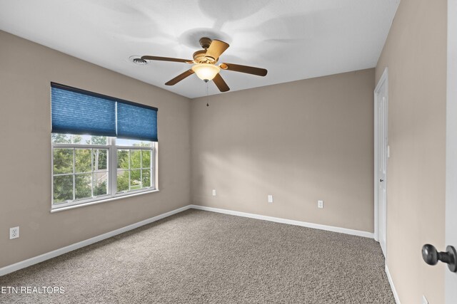 230 Fieldcrest Dr, Jefferson City, TN 37760 - photo 30