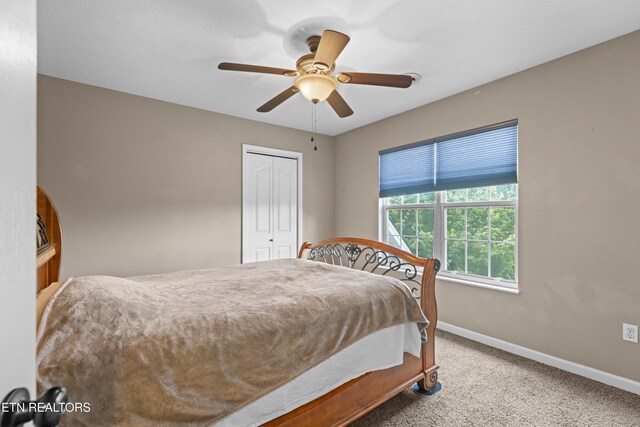 230 Fieldcrest Dr, Jefferson City, TN 37760 - photo 33