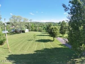 2517 Shields Ferry Rd, Morristown, TN 37814 - view of grassy yard