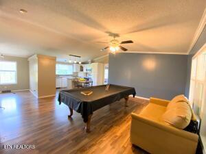 2517 Shields Ferry Rd, Morristown, TN 37814 - playroom featuring plenty of natural light, wood finished floors, billiards table, crown molding, and vaulted ceiling