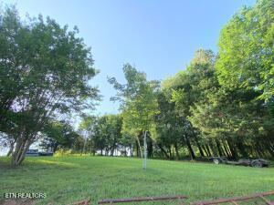 2517 Shields Ferry Rd, Morristown, TN 37814 - surrounding community featuring a lawn