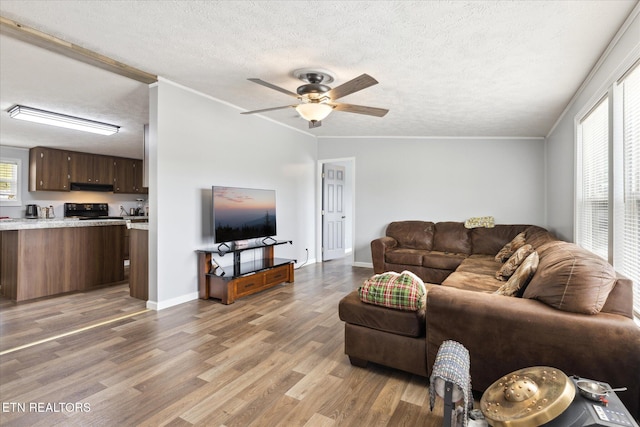 1309 Elm Village Ct, Dandridge, TN 37725 - living room with a textured ceiling, light wood-type flooring, ceiling fan, and ornamental molding