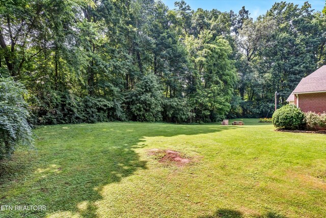 115 Orangewood Dr, Maryville, TN 37803 - photo 54