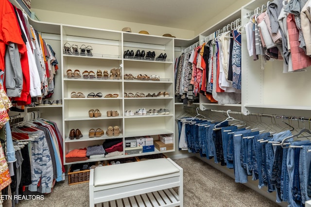 1045 Southwind Cir, Dandridge, TN 37725 - view of spacious closet