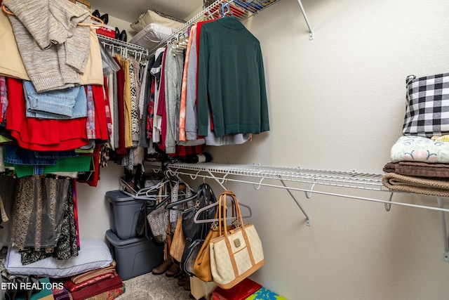 1045 Southwind Cir, Dandridge, TN 37725 - view of walk in closet
