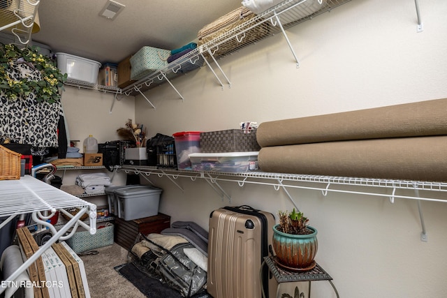 1045 Southwind Cir, Dandridge, TN 37725 - walk in closet with carpet flooring