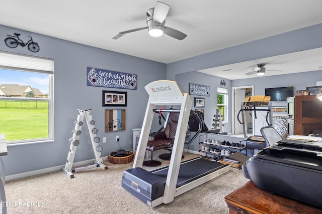 1045 Southwind Cir, Dandridge, TN 37725 - exercise area with a ceiling fan and carpet floors