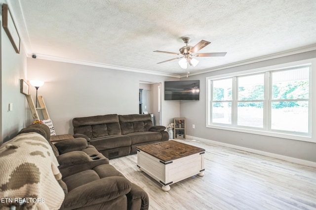 1820 Locust Grove Rd, New Tazewell, TN 37825 - living room featuring crown molding, ceiling fan, light wood finished floors, and a textured ceiling