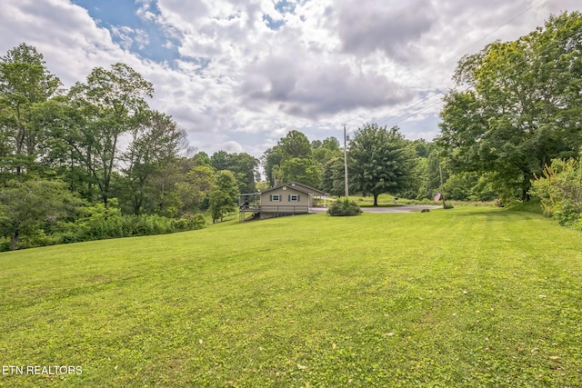 1820 Locust Grove Rd, New Tazewell, TN 37825 - view of green lawn