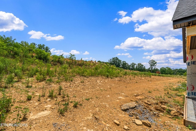 7624 Drake Ln, Knoxville, TN 37924 - view of yard