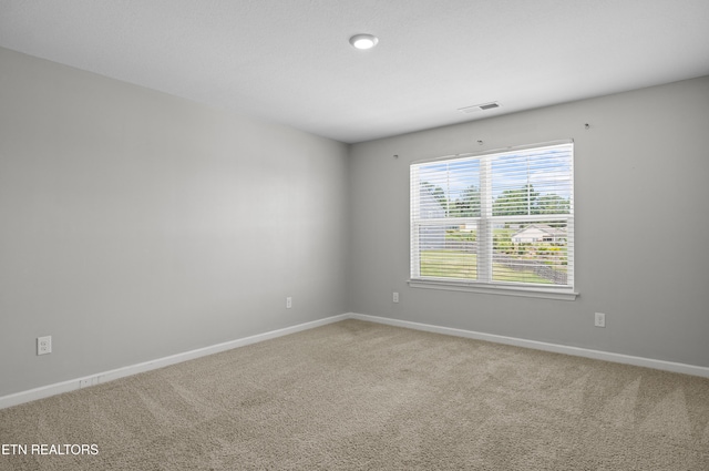 3032 Sagegrass Dr, Louisville, TN 37777 - photo 27
