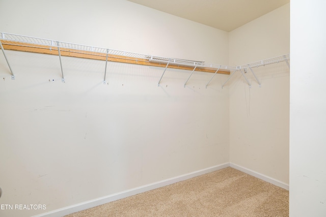 3032 Sagegrass Dr, Louisville, TN 37777 - photo 26