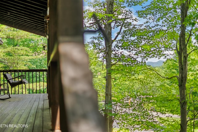 719 Kings Hills Blvd, Pigeon Forge, TN 37863 - exterior view