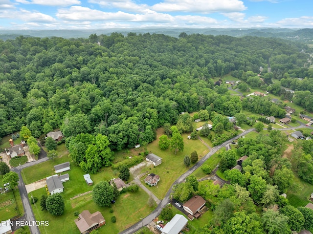1684 Ridgeway Dr, Kingsport, TN 37664 - aerial view of a heavily wooded area