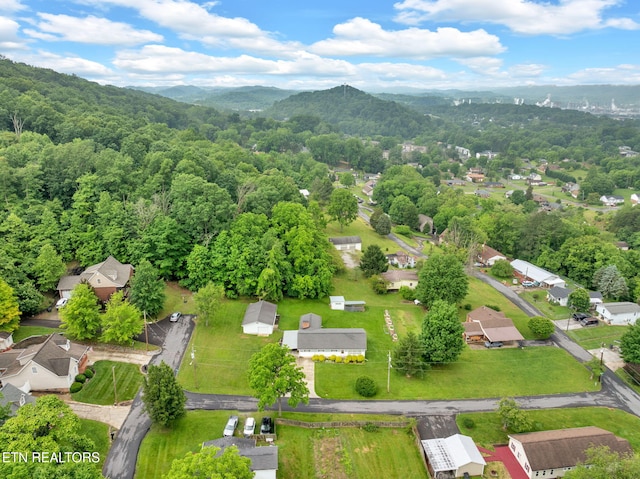 1684 Ridgeway Dr, Kingsport, TN 37664 - bird's eye view of mountains and a heavily wooded area