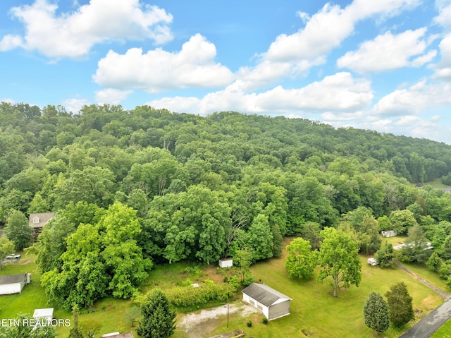 1684 Ridgeway Dr, Kingsport, TN 37664 - aerial view of a forest
