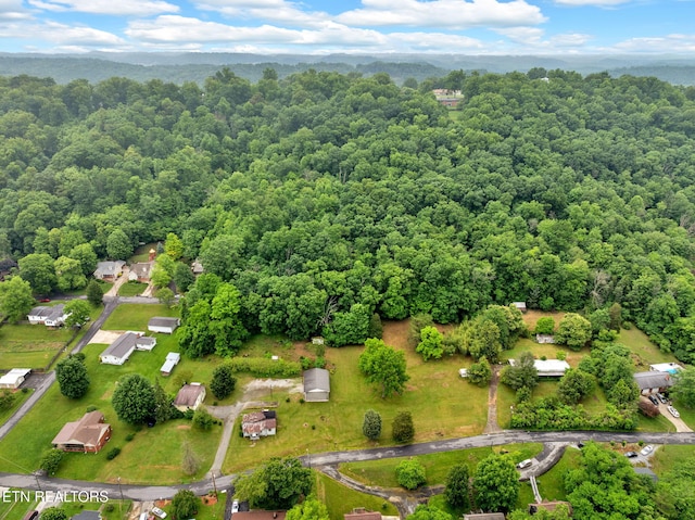 1684 Ridgeway Dr, Kingsport, TN 37664 - bird's eye view of a forest