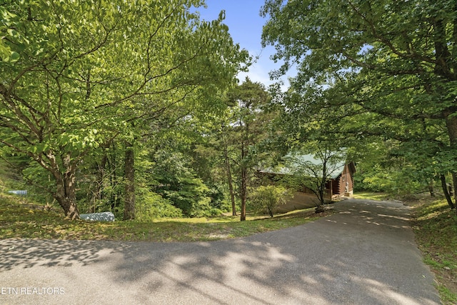 2389 Misty Ln, Sevierville, TN 37876 - view of asphalt driveway
