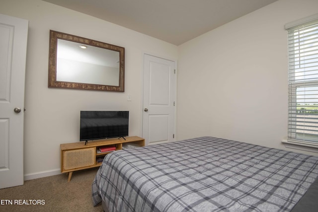 1106 Beacon Rd, Sevierville, TN 37876 - photo 40