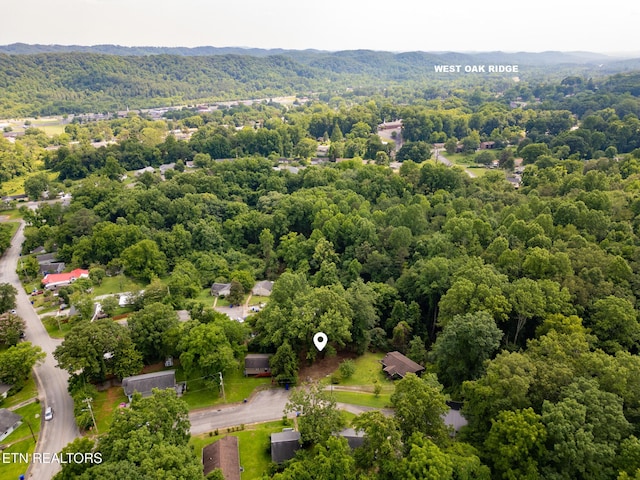 107 Jay Ln, Oak Ridge, TN 37830 - photo 8