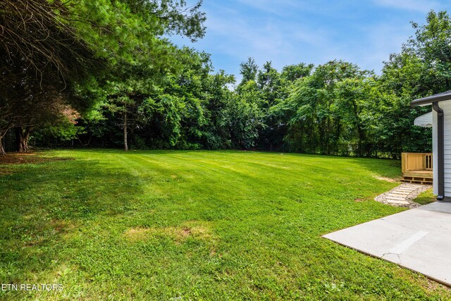 210 Elyria Dr, Knoxville, TN 37912 - photo 20
