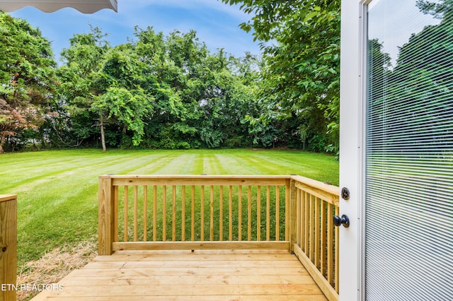 210 Elyria Dr, Knoxville, TN 37912 - photo 19