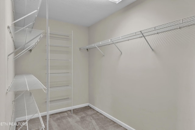 1670 Maremont Rd, Knoxville, TN 37918 - walk in closet with carpet