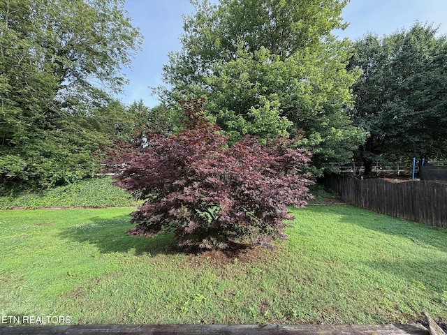 1670 Maremont Rd, Knoxville, TN 37918 - view of yard