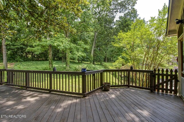700 Kempton Rd, Knoxville, TN 37909 - photo 52