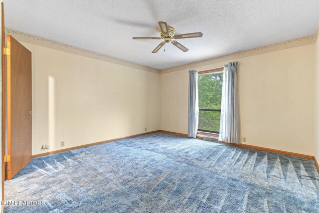 8412 Finger Rd, Knoxville, TN 37920 - photo 30