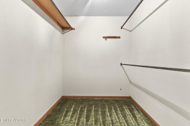 8412 Finger Rd, Knoxville, TN 37920 - photo 35