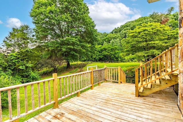 8412 Finger Rd, Knoxville, TN 37920 - photo 46