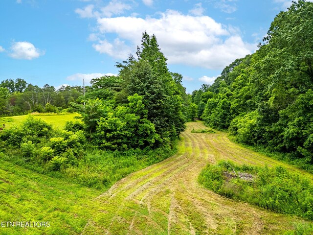 8412 Finger Rd, Knoxville, TN 37920 - photo 6