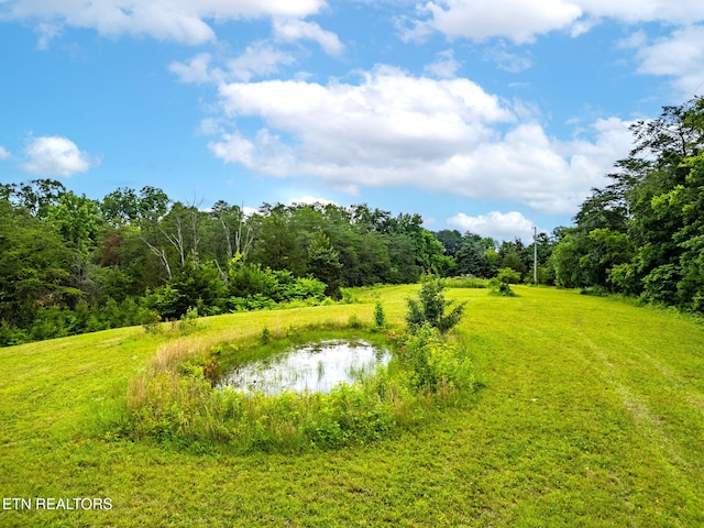 8412 Finger Rd, Knoxville, TN 37920 - photo 4