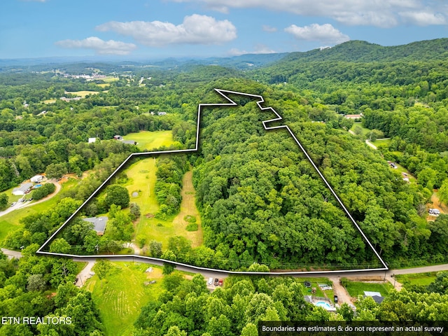 8412 Finger Rd, Knoxville, TN 37920 - photo 53