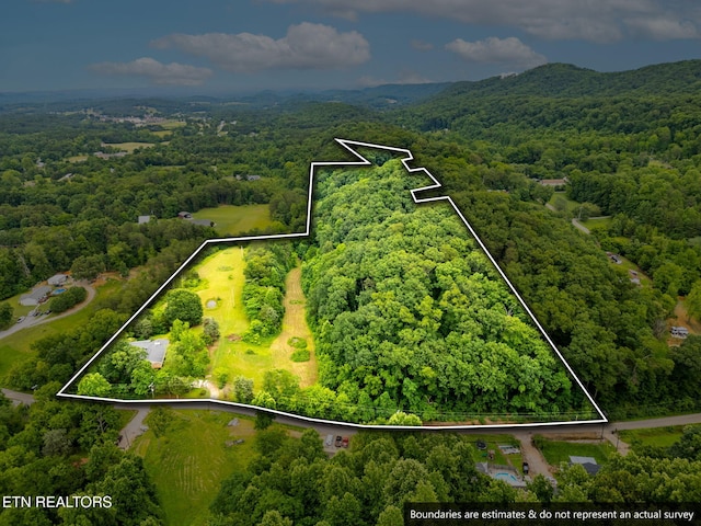 8412 Finger Rd, Knoxville, TN 37920 - photo 3