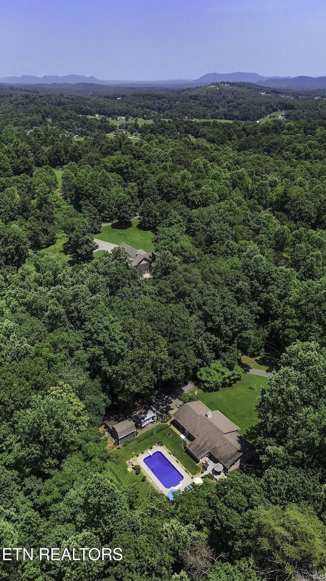 8452 Carr Ln, Knoxville, TN 37938 - photo 29
