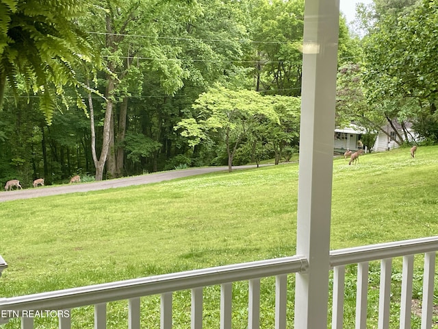 8452 Carr Ln, Knoxville, TN 37938 - photo 47