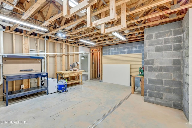 8824 Carriage House Way, Knoxville, TN 37923 - basement featuring a workshop area and concrete block wall
