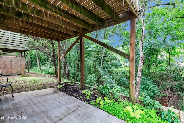 8824 Carriage House Way, Knoxville, TN 37923 - view of patio