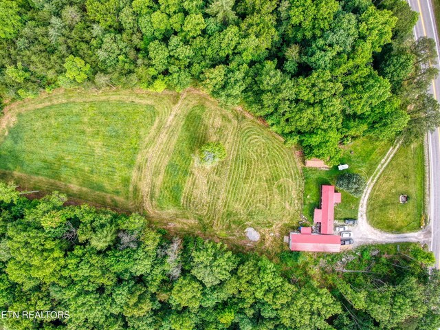 2800 Leatherwood Ford Rd, Jamestown, TN 38556 - photo 4
