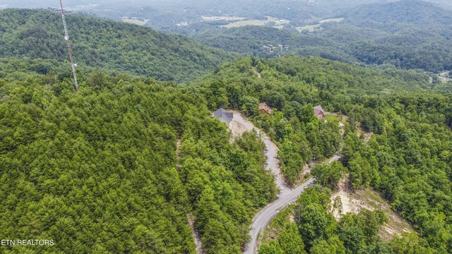 2609 Mountain Blvd, Sevierville, TN 37876 - drone / aerial view of a forest