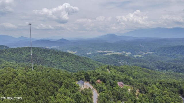 2609 Mountain Blvd, Sevierville, TN 37876 - view of mountain background with a heavily wooded area