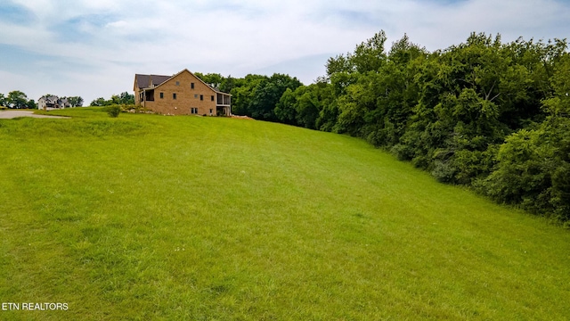 96119615 Sybil Lee Ln, Kodak, TN 37764 - photo 4