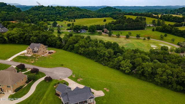 96119615 Sybil Lee Ln, Kodak, TN 37764 - photo 10